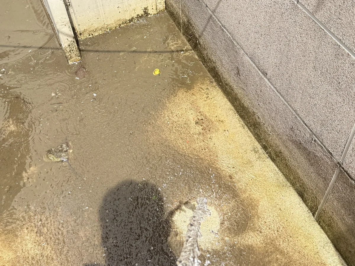 안양시 만안구 안양동 배관 관리실·기계실 위생청소 사례 - 행진크린